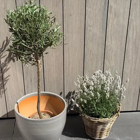 Nieuw In 2025 Bundi Coast Bij & Duinen Apartment Egmond aan Zee