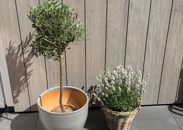 Nieuw In 2025 Bundi Coast Bij & Duinen Apartment Egmond aan Zee